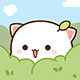 小新